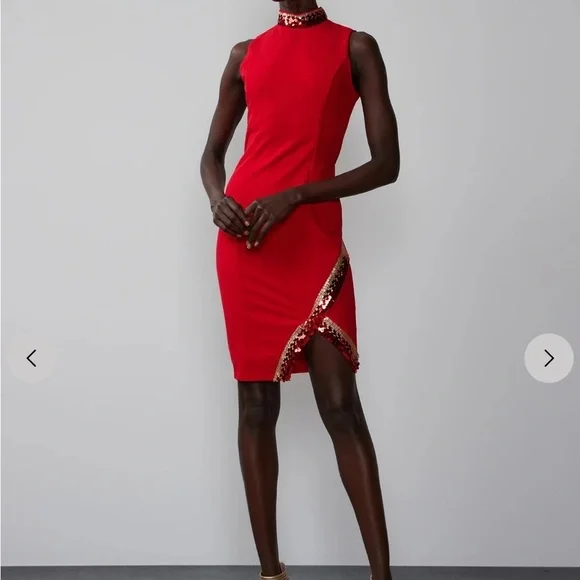 Sleeveless Sequin Trim Dress - Picture 2 of 5